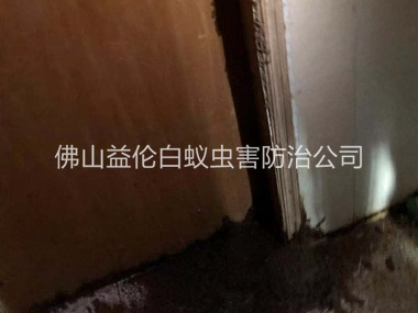 南海房屋防治白蚁工程